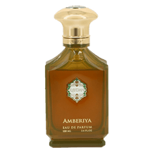 Load image into Gallery viewer, Raydan Amberia perfume 100ml Raydan Amberia kvepalai
